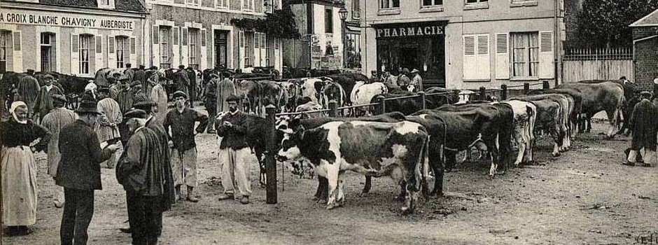Brou - marché aux vaches
